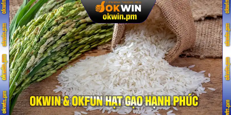 Okwin Và Okfun Hạt Gạo Hạnh Phúc – Lan Tỏa Yêu Thương Đến Lạng Sơn